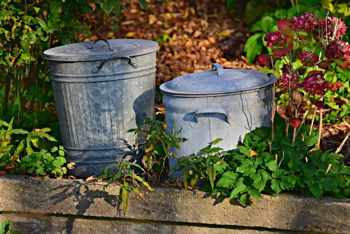 deux poubelles en metal avec des couvercles posees sur une bordure au milieu de la vegetation