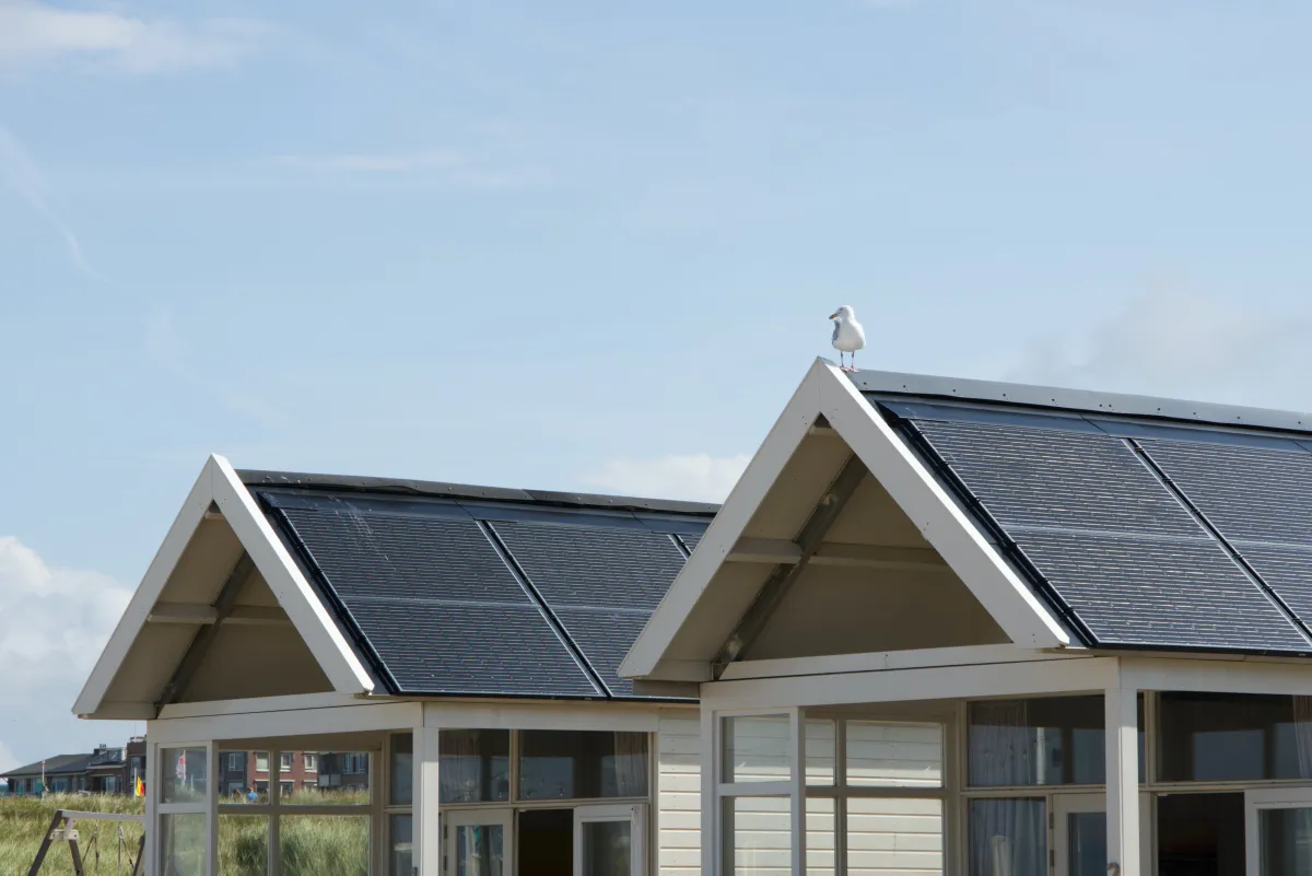 energie solaire facade maison fenetre ciel bleu toit oiseau