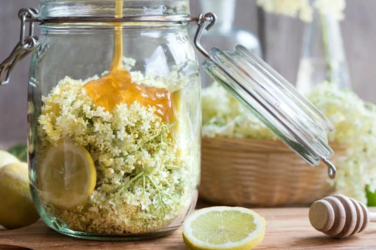 faire un sirop de fleurs de sureau bol en verre miel et citron jaune