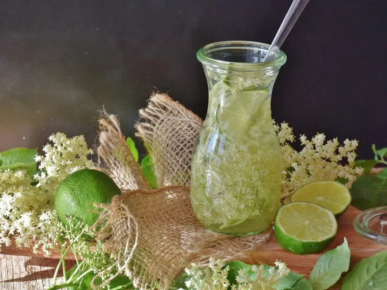garafe boisson rafraîchissante limonade tranches citron vert paille