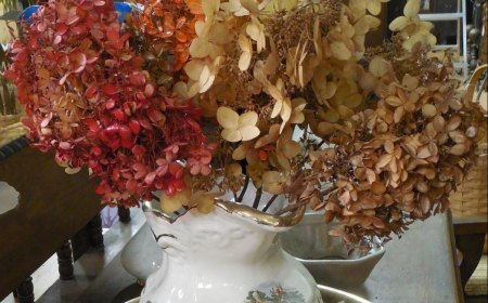 hortensias séchées bouquet fleurs seches en vase