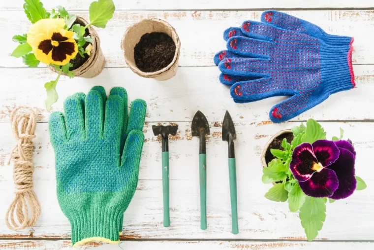 instruments jardin gants pots corde fleurs plantes rempotage surface bois