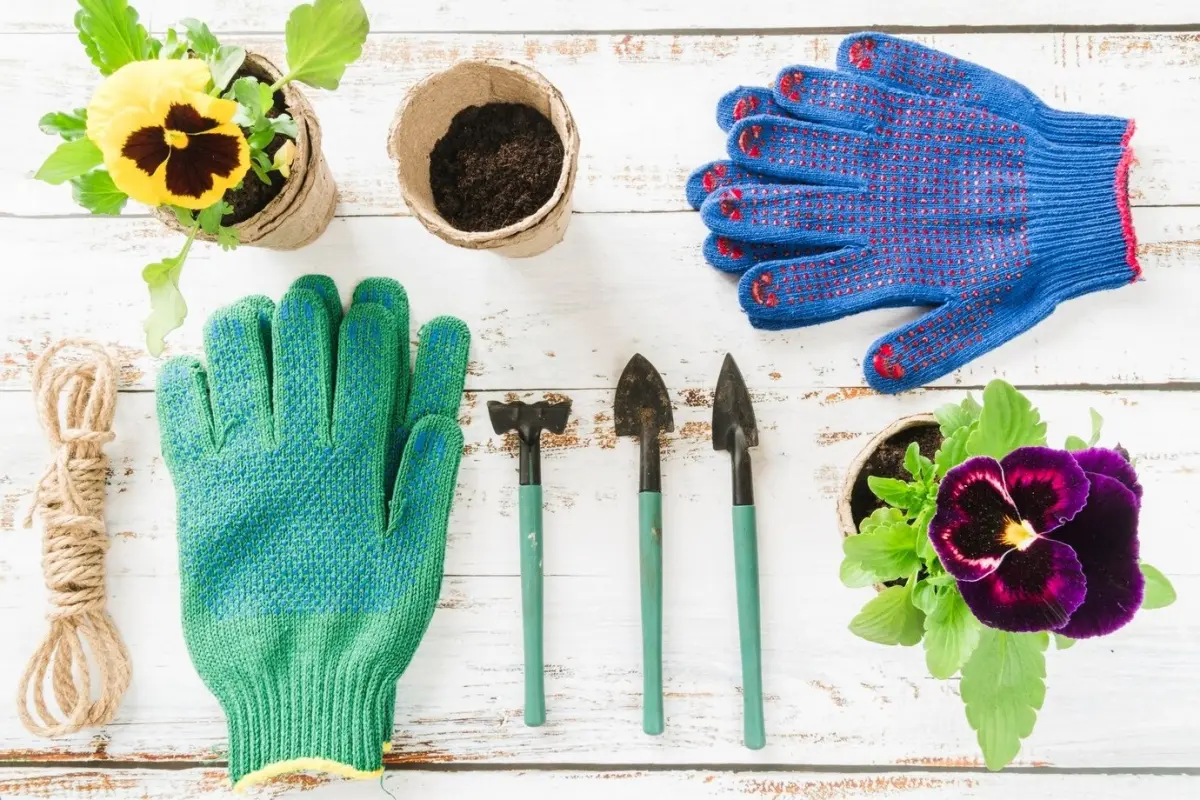 instruments jardin gants pots corde fleurs plantes rempotage surface bois