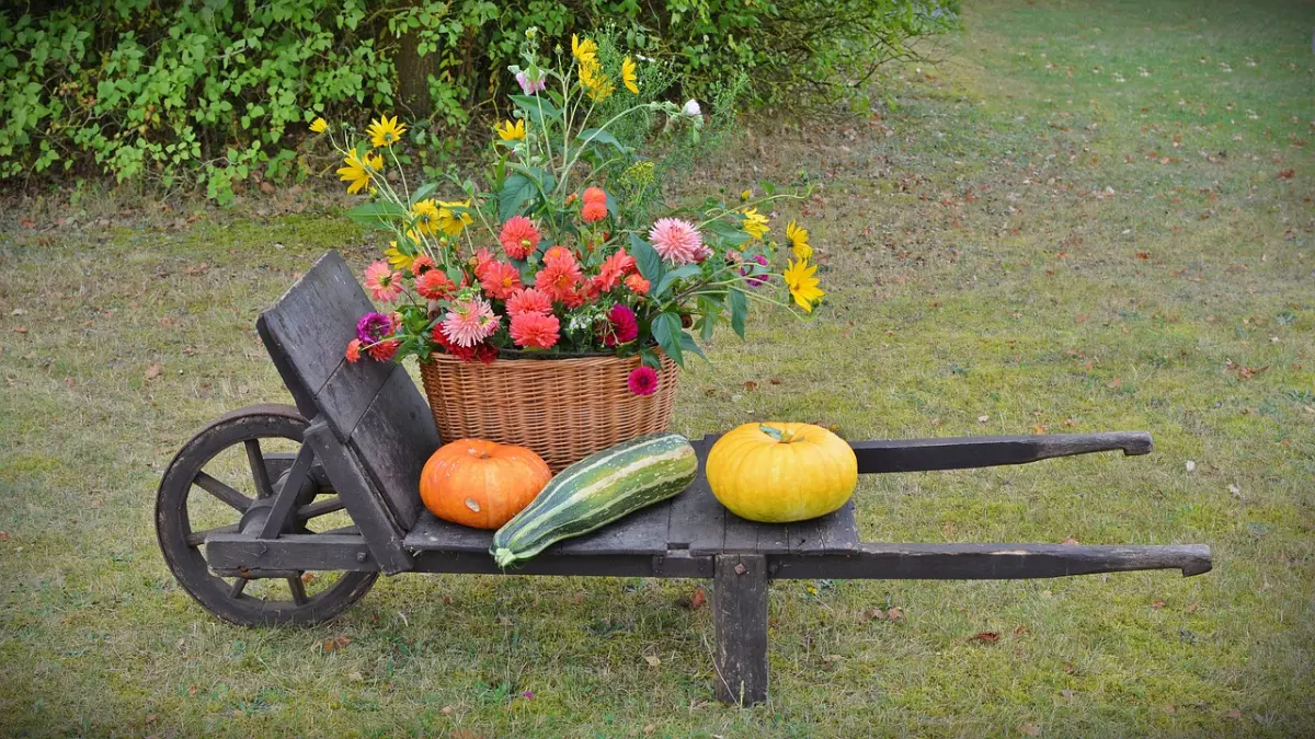 jardin d automne avec ses couleurs automnales chaudes et reconfortantes