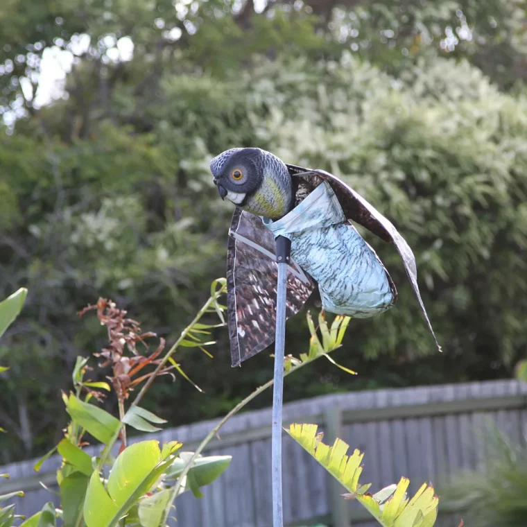 oiseau effaroucheur predateur pour éloigner les oiseuax du verger