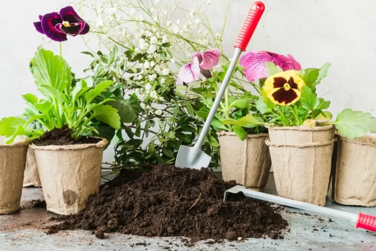 outils jardinage pot demarrage graines jeunes plantes fleurs