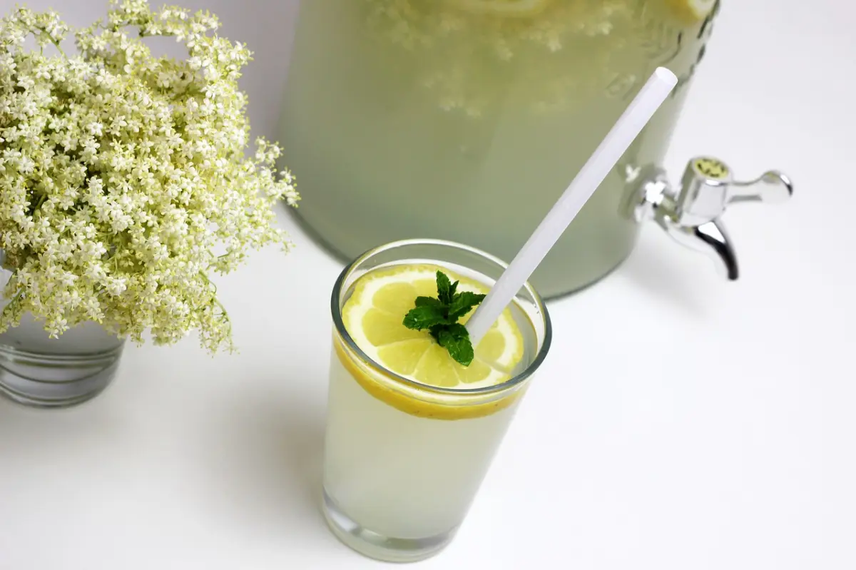 paille verre cocktail maison limonade sureau ombelle bouquet vase