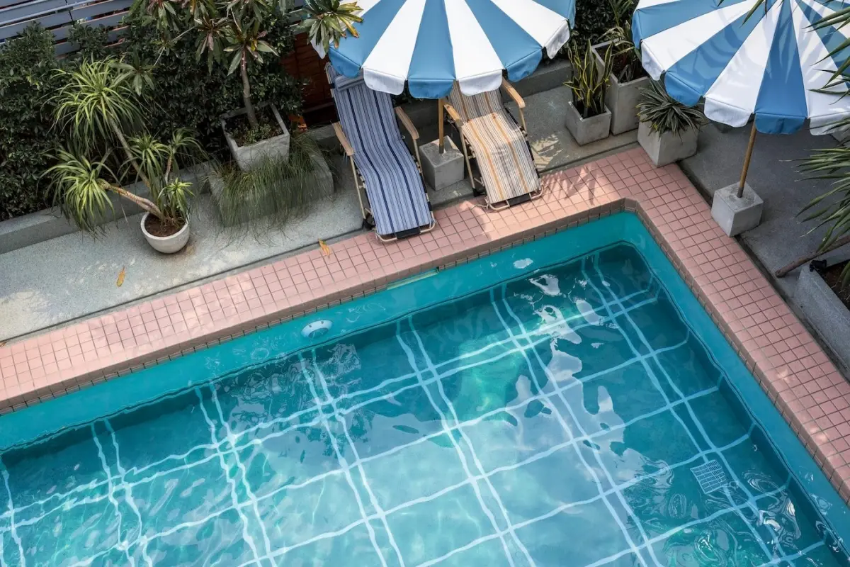 parasols transats amenagement paysager autour piscine palmier en pot faut il couvrir sa piscine quand on part en vacances