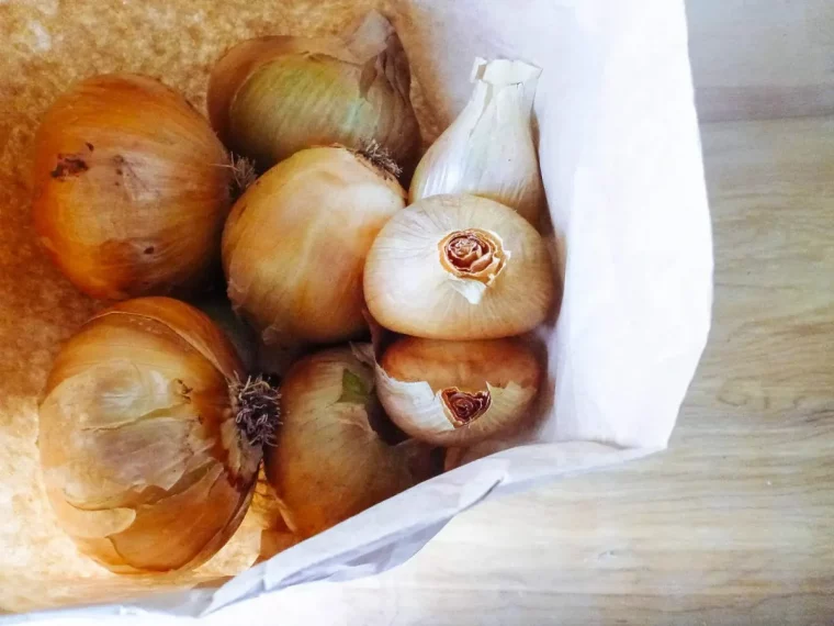 peut on placer les oignons dans un sac en papier