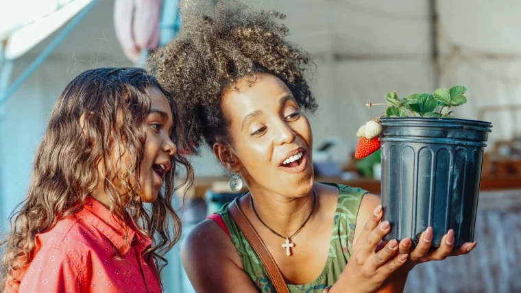 planter des fraises en automne fruits rouges mere et fille pot