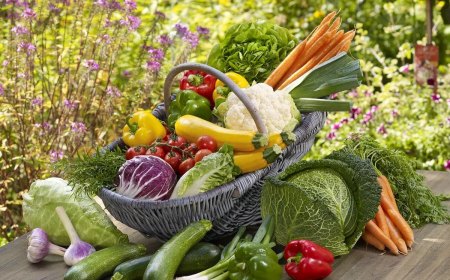 plantes qui supportent leau salée legumes en aout