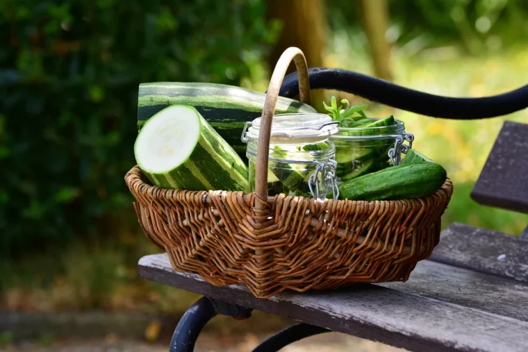 que faire avec beaucoup de courgettes panier pot sterlise legumes banquette bois