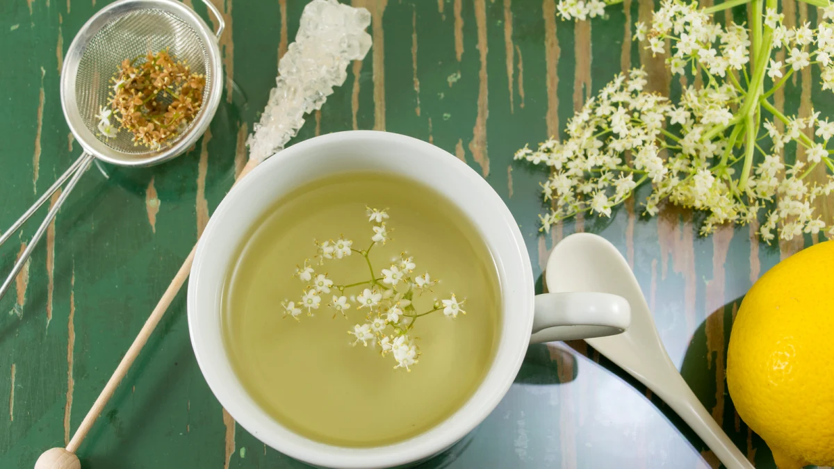 que faire avec des fleurs de sureau the vert citron infusion