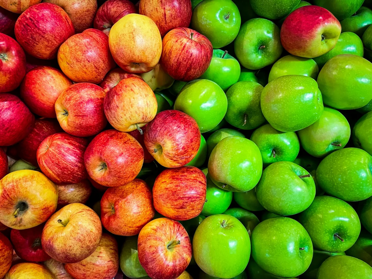 quelle variate de pommes se conservent le plus longtemps