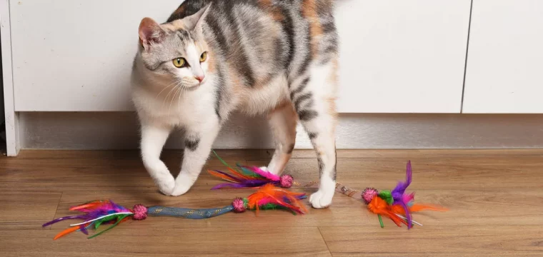 quels jouets laisser a son chat pendant son absence