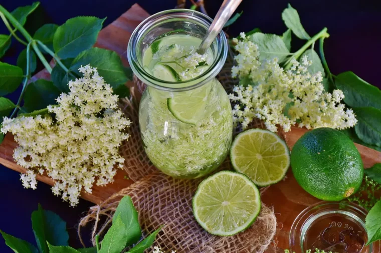 recette sirop maison tranches citron vert corymbes sureau surface bois