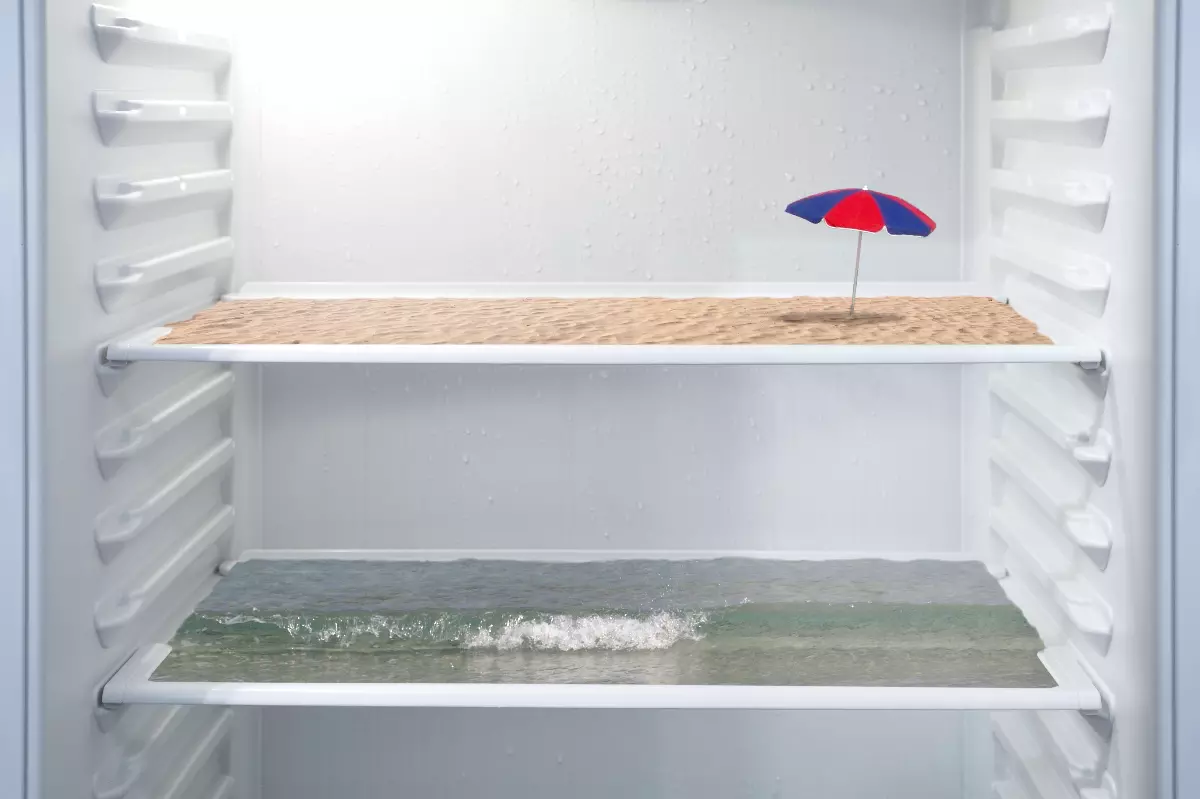 refrigerateur vide avec un collage de la mer et la plage sur les etageres