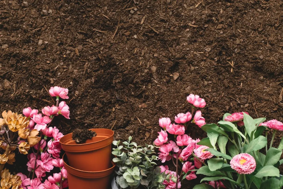 sol terreau melange drainage fleurs plantes annuelles pots plastique