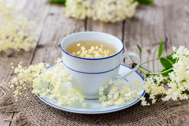 the de fleur de sureau contre le rhume tasse blanche