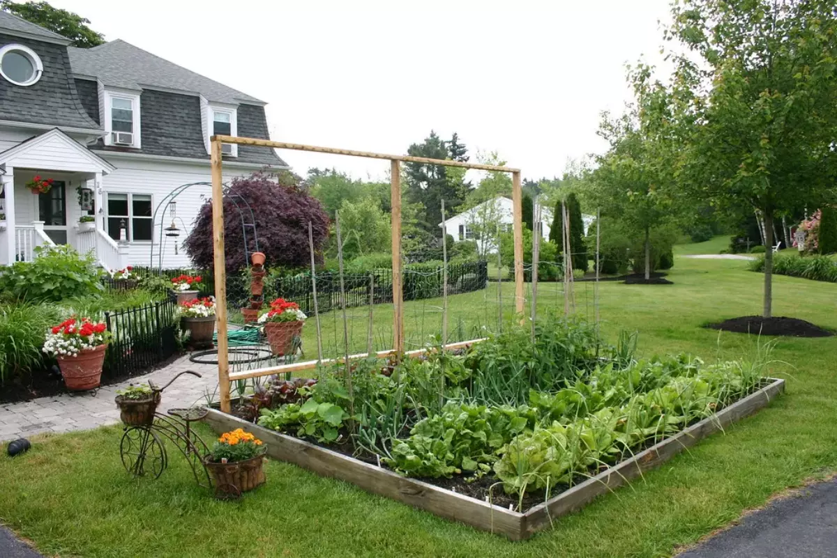 un jardin parfaitement bien entretenu avec un potager au premier plan borde par des lattes en bois sur une pelouse verte