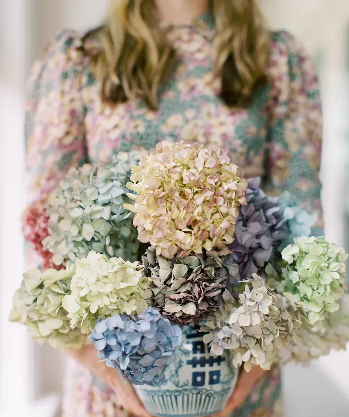 vase de fleurs d hortensias séchées de couleurs variées