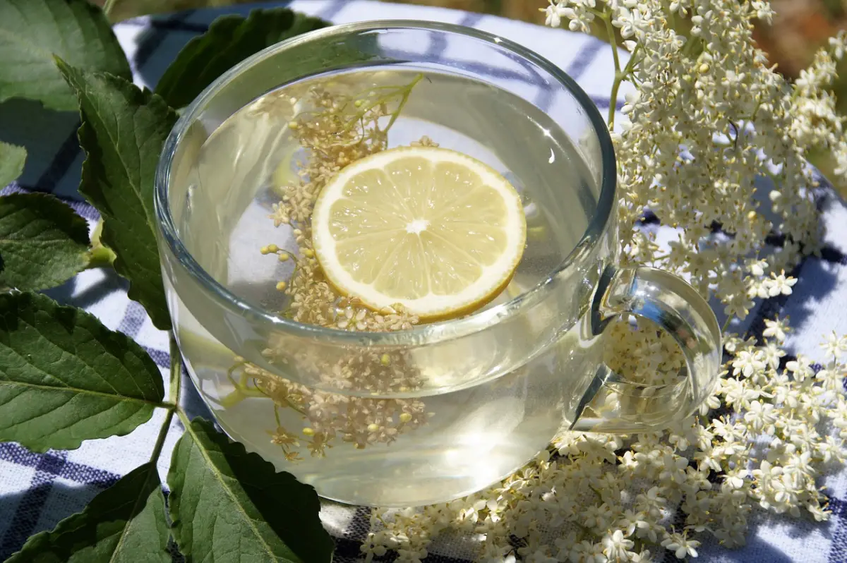 verre citron plante comestible preparation boisson froide nappe carreaux