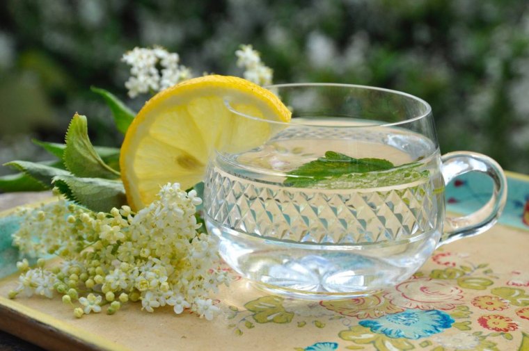 verre tranche citron comment faire du sirop de sureau ombelle nappe