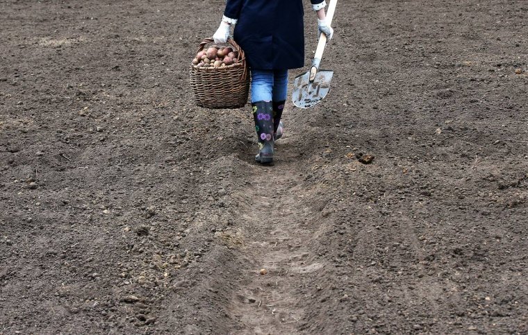 dacha season starts in tatarstan, russia