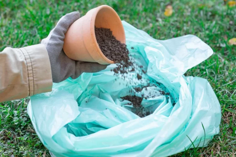 a quelle frequence faut il rempoter les plantes