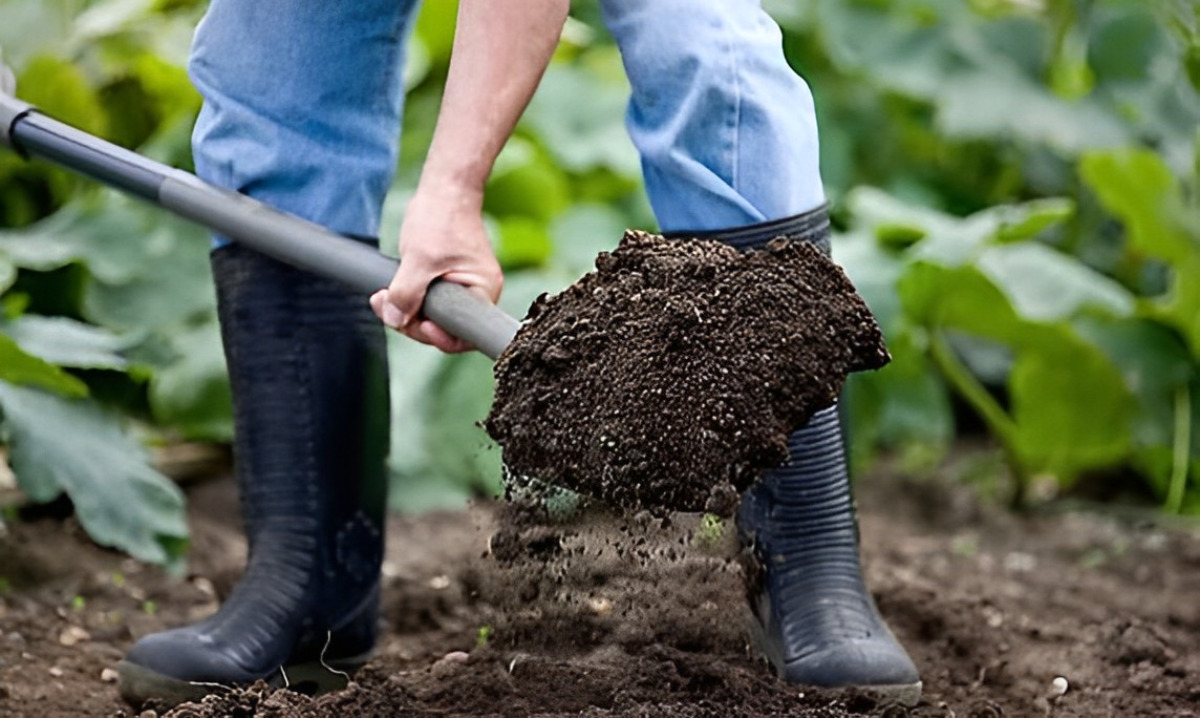Humidifier les plantes sans arrosage régulier 7 méthodes imparables