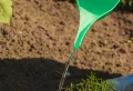 Humidifier les plantes sans arrosage régulier : 7 méthodes imparables