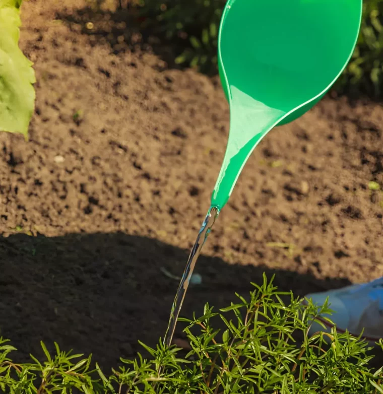 arrosage ponctuel avec un recipient vert sur fond de la terre