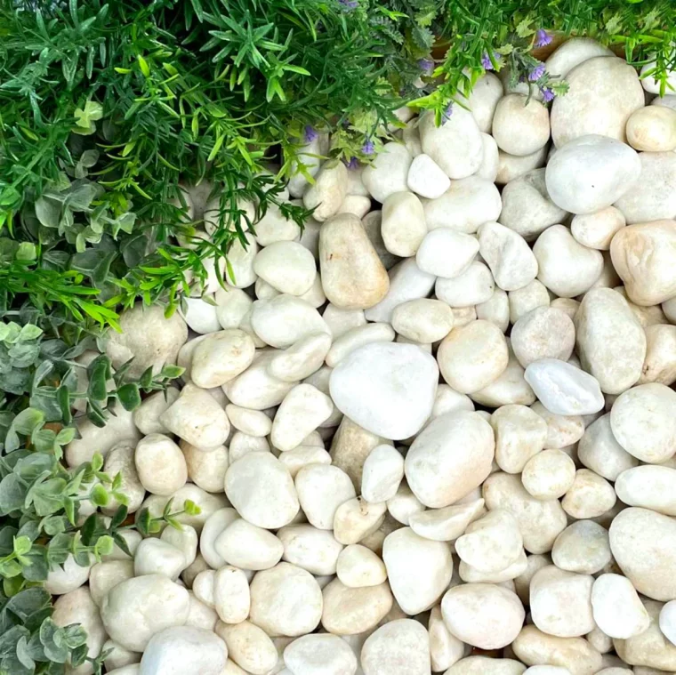 comment blanchir les galets blancs dans le jardin plantes vertes