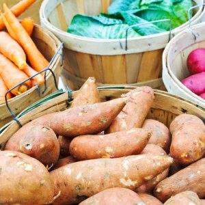 Déguster des légumes et fruits frais en hiver - comment conserver ses récoltes
