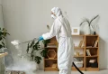 Traitement des cafards : Quand faut-il faire appel à un professionnel ?