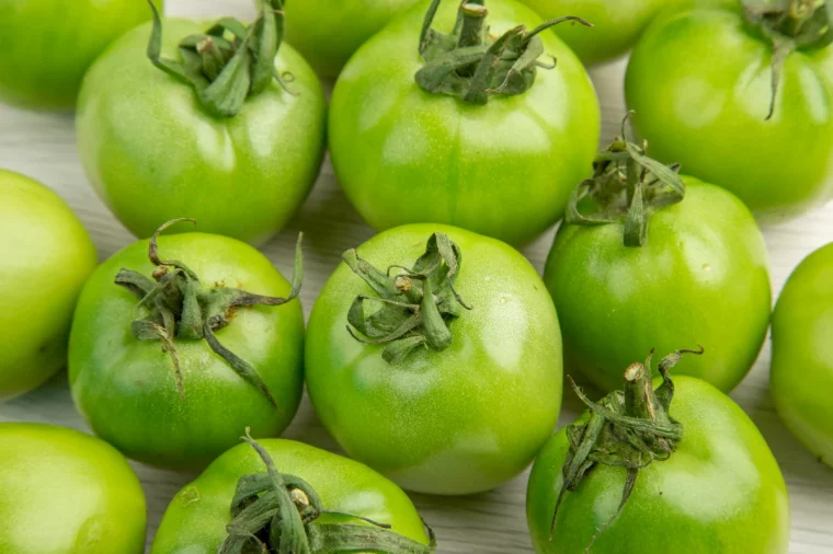 comment faire murir des tomates vertes