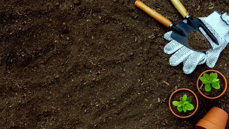 comment regenerer la terre et la rendre plus fertile outils verts