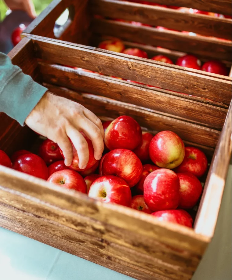 comment stocker des pomems dans des cagettes exemple de conservation fruits hiver