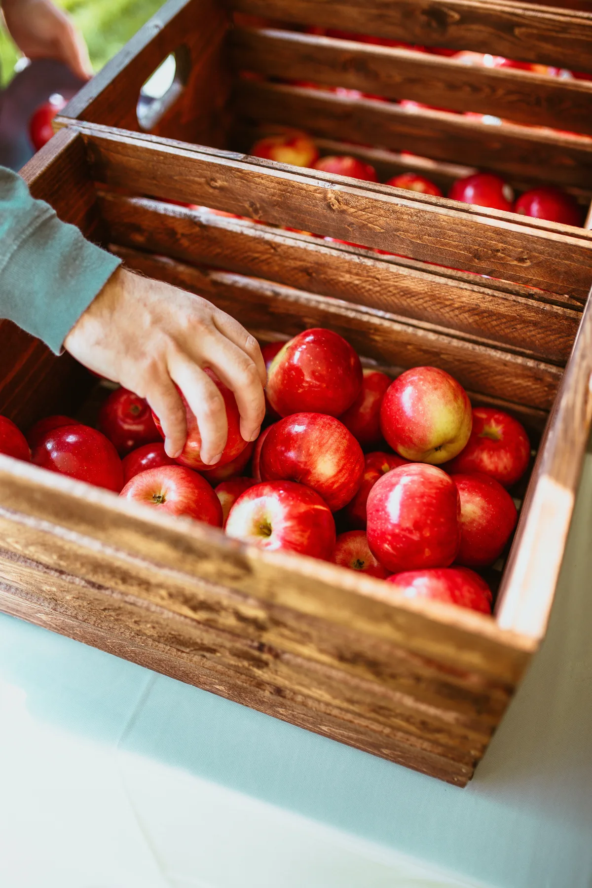 conservation des pommes en cagette de bois assortir les meilleurs fruits