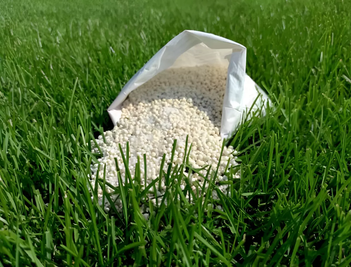 engrais sous forme de granules dans un sac blanc deverse sur une pelouse verte