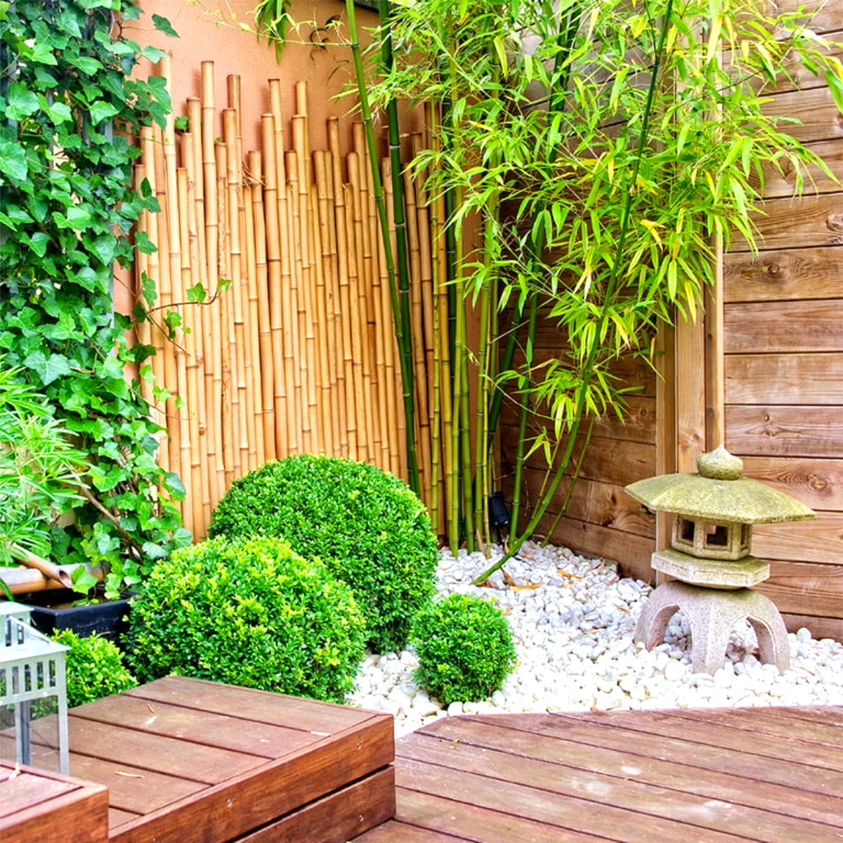 jardin en bois avec des cailloux blancs bambous et plantes vertes