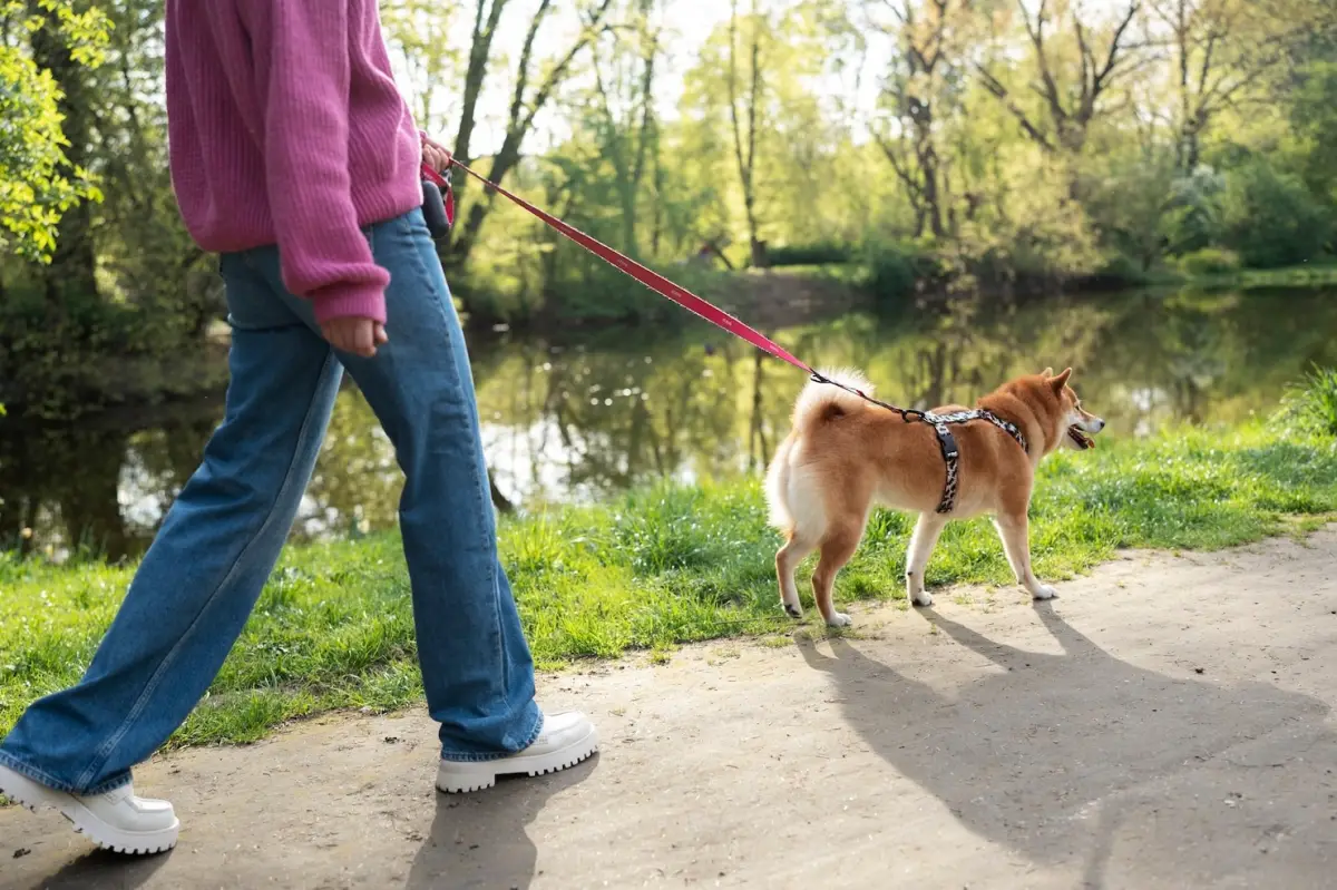 femme promenade parc lac pullover rose jeans chaussures blanches laisse chien