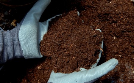 fertilisant naturel pour le sol mains avec des gants terre