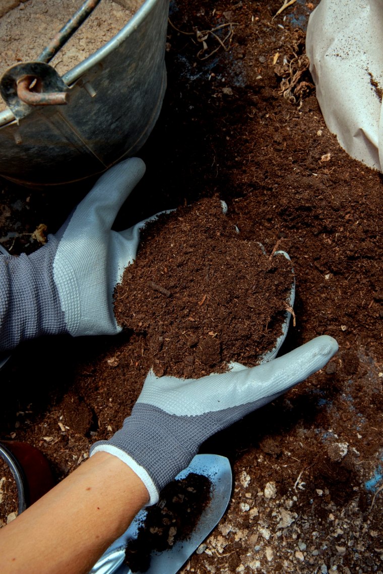 fertilisant naturel pour le sol mains avec des gants terre
