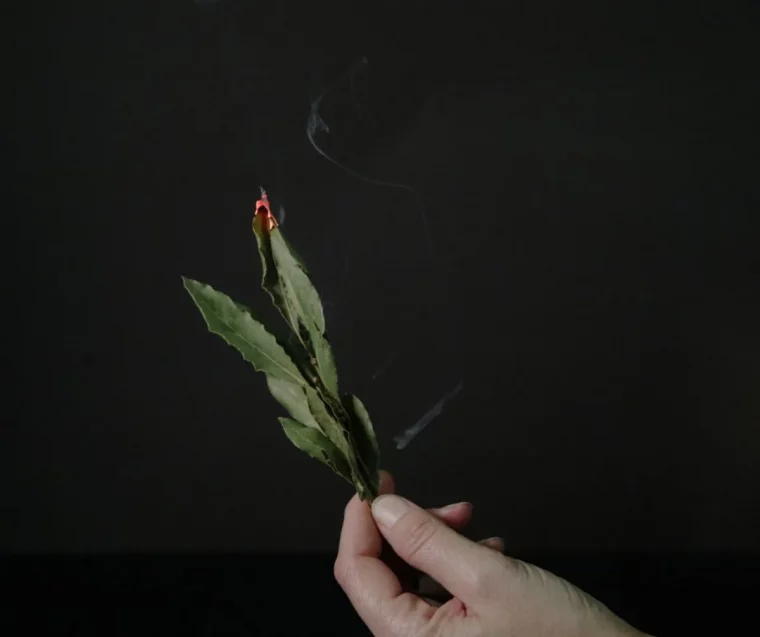 feuille de laurier signification bruler des feuilles comment faire