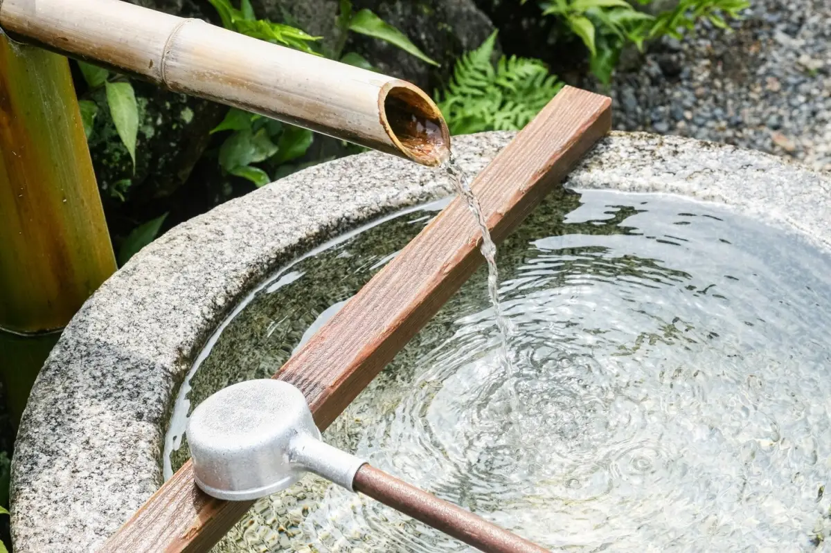 fontaine eau bambou deco zen jardin plantes arbustes gouttes