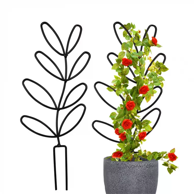 jeune rosier grimpant rouge dans un pot avec un support metallique estetique sur fond blanc