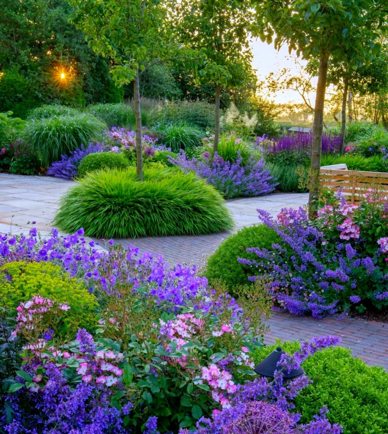 nepeta plante avec longue floraison fleurs violettes feuilles vertes