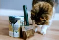 13 choses que vous ne devez pas garder à la maison pour les plus superstitieux et les adeptes du Feng Shui