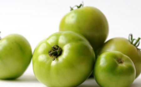 que faire des tomates vertes pas mures en fin de saison stuces pour les faire murir et cuisiner